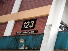 Blk 123 Bukit Merah Lane 1 (Bukit Merah), HDB 3 Rooms #23442